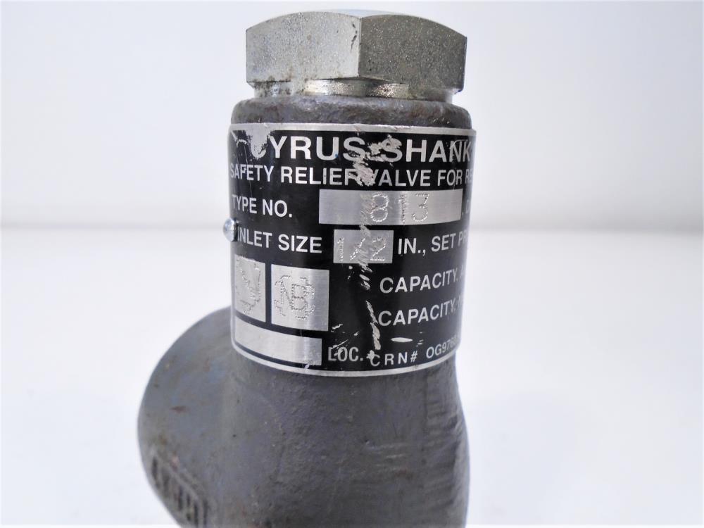 Cyrus Shank 1/2" x 1" NPT Safety Relief Valve, Type 813, 300 PSIG